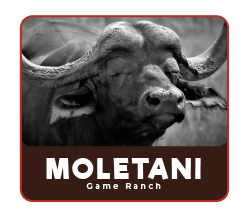 Moletani Game Ranch
